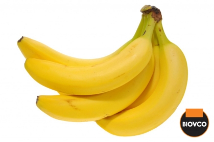 pisang-untuk-gout